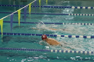 乐鱼体育app官网-世界游泳锦标赛中国女将再获金牌，世界游泳锦标赛2020